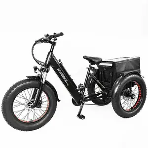 cargo electric tricycle vintage golden supplier electric tricycle for adult tricycle cargo truck electric scooter 3
