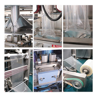 Machine d'emballage industrielle à collier pour sachets à soufflet arrière pour graines de tournesol, arachides, noix, céréales, ligne de pesage et d'emballage, Maquina