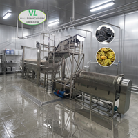 Ligne complète de lavage des raisins et des prunes avec composants moteur essentiels, garantie 1 an