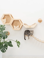 Étagère murale d'escalade pour chat, plateforme de saut, mobilier écologique pour animaux de compagnie, échelle murale d'escalade, étagère en bois pour chat