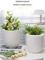 Pot de fleurs en résine de style nordique minimaliste à bords droits, avec contrôle des racines et large ouverture, élégant, pour arbres du dragon