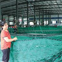 Filet d'élevage pour poissons jaulas flotantes para peces 8x8x3m