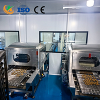 Machine d'enrobage de chocolat entièrement automatique à haute efficacité certifiée CE pour l'usine de collations aux fraises lyophilisées