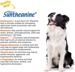 OEM Friandises apaisantes Aide au stress et à la relaxation pour chiens Suppléments et vitamines pour animaux de compagnie Friandises à mâcher Snack avec emballage OEM - Product Image 4