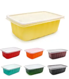 China Suppliers Colorful Plastic Food Packaging Meal Prep Lunch Box