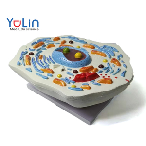 Modelo <span class=keywords><strong>de</strong></span> Submicroestructura Celular Animal, Material Didáctico <span class=keywords><strong>de</strong></span> PVC para Clases <span class=keywords><strong>de</strong></span> Biología Escolar, Ayuda para el Aprendizaje <span class=keywords><strong>de</strong></span> los Estudiantes, Demostración <span class=keywords><strong>de</strong></span> la Estructura Celular - Product Image 1