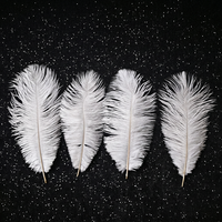 Plumes d'autruche blanches teintées de 30-35 cm en gros pour fêtes, carnavals, bricolage, artisanat, vêtements et décoration