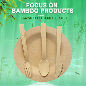 Tre dùng một lần 10 inch Vòng compostable phân hủy sinh học Bộ đồ ăn tre thân thiện với thiên nhiên tre tấm - Product Image 6