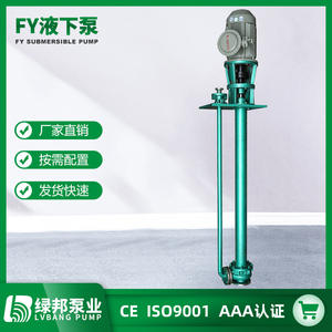 Bombas Sumergibles Verticales Serie FY, Bombas Químicas con Motor de CA Antiobstrucción, Personalizables para Uso con Agua, Sin Fugas - Product Image 2