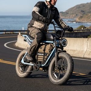 Vélo électrique longue portée à moteur sans balais avec batterie 16Ah, vélo électrique de tourisme pour les déplacements interétatiques - Product Image 1