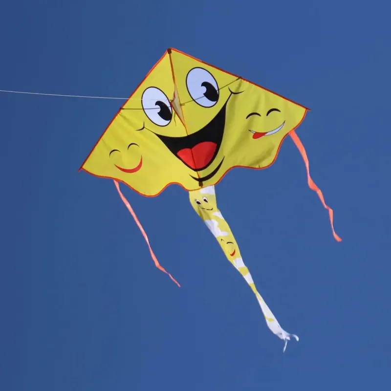 अच्छी उड़ान के साथ वेफ़ांग पतंग फैक्ट्री के बच्चे डेल्टा पतंग
