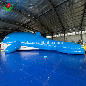 <span class=keywords><strong>2025</strong></span> tongxin Hot Bán Đại Dương Cá voi Đảo Chủ Đề Công Viên Nước với bìa màu xanh đôi sóng hồ bơi trượt cho trẻ em và người lớn để bán - Product Image 3