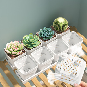 Pots à fleurs succulentes Qinfeng 7 cm, jardinières de bureau respirantes pour la culture à domicile - Product Image 1