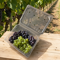 Conteneur à raisins prêts à l'emploi, capacité 2 lb, écologique, en RPET/PET recyclé, jetable, type coquille