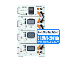 Rak Server Penyimpanan Energi Surya 5kwh 10kwh 51.2v 100ah Paket Baterai Lifepo4 untuk Penyimpanan Energi Rumah