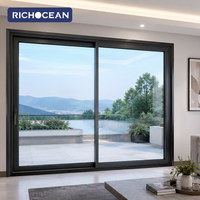 Portes coulissantes en verre manuelles RICHOCEAN pour villa moderne, en alliage d'aluminium, étanches, insonorisées, à double rail