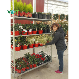 Chariot démontable galvanisé plongé chaud horticole de jardin de transport pour des usines - Product Image 5