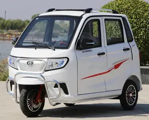 EEC 2000w 60v 58ah 110千米3轮3座封闭式电动人力车三轮车轻便摩托车Tuk Tuk车2门