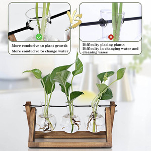 Estação de Propagação de Plantas, Terrário de Plantas com suporte de madeira, plantador para decoração de jardim, escritório doméstico, 3 vasos de vidro com lâmpadas - Product Image 3