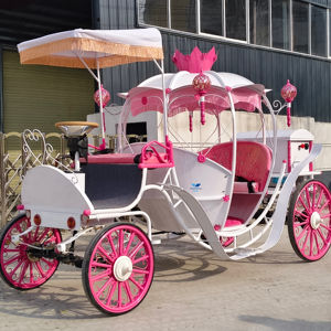 Fabricantes Venden Carruajes de Calabaza de Acero de Cuatro Ruedas para Bodas, Carruajes Reales de Caballos para Turismo Familiar y Visitas Turísticas - Product Image 1