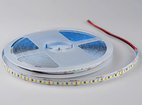 Bande LED RVB pour TV Bande LED 12v 24v 4000k 3000k 6000k 3mm 5mm 8mm 10mm IP68 Étanche Type T