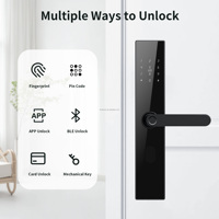 Serrure intelligente Bluelock Tuya Wifi APP avec contrôle à distance, empreinte digitale, entrée sans clé, OEM ODM, sécurité de niveau C, poignée de porte