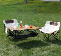 Barbecue portable en acier au carbone pour la vente ambulante, les pique-niques, le camping et l'usage domestique, avec grille pliable réglable en hauteur, mobilier d'extérieur