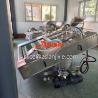 Machine de scellage sous vide pour sacs plastiques de maïs frais / Machine d'emballage continu sous vide pour maïs avec certificat CE