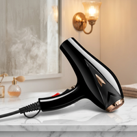 Teknologi Pengering Rambut Ruizi Salon, Perlindungan Super Panas Ganda, Motor AC 1400W, Angin Berkecepatan Tinggi, Pengeringan Cepat untuk Salon dan Rumah Tangga