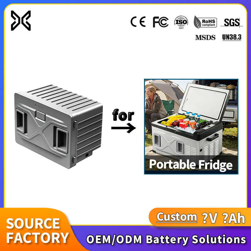 Custom Li ion Battery Pack for