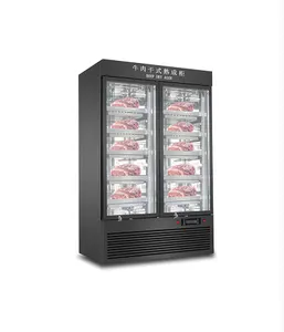 9月購入フェスティバル時代ドライミート冷蔵庫洋風レストランキッチン家電冷蔵庫