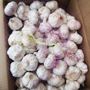 Shandong cina fresco aglio bianco nuovo raccolto bulbi di aglio secco alla rinfusa per la <span class=keywords><strong>vendita</strong></span> - Product Image 4