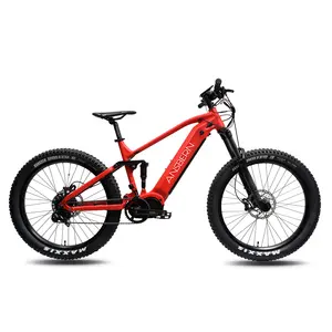 Ansbern Hot Sale MTB E Fahrrad rahmen mit Motor E Bike Bafang Ultra Ebike