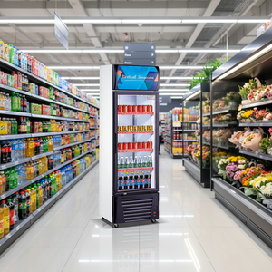 Vitrine Réfrigérée Commerciale pour Boissons Fraîches, 220V, <span class=keywords><strong>4</strong></span> Étagères, Porte Simple en Verre - Product Image 5