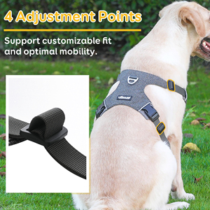 Cintre rétractable moelleux nom personnalisé néon luxueux Logo colliers lourds tirer <span class=keywords><strong>harnais</strong></span> pour <span class=keywords><strong>chien</strong></span> personnalisé - Product Image 3