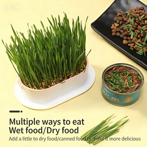 Bandejas para Germinar Semillas de Hierba para Gatos de Interior, Kit de Cultivo Hidropónico de Hierba para Gatos, Bandeja Orgánica para Cultivar Hierba para Gatos - Product Image 4