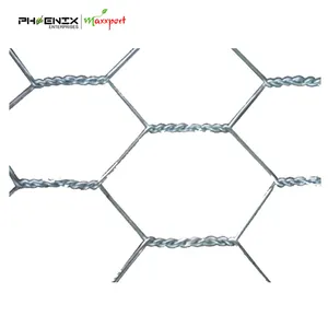 Hex Wire netting para Aves de capoeira Fence Fishing Garden galvanizado e PVC revestido cor verde