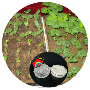 SAP Suelo agrícola Plantación de árboles Fertilizante Cuenta absorbente de agua Hidrogeles de polímero superabsorbente Agente de retención de agua SAP - Product Image 1