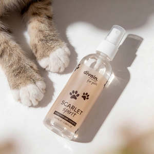 Perfume en Aerosol Divain Scarlet Spirit 100 ml para Mascotas - Product Image 3