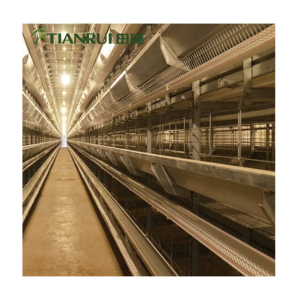 Cage en batterie pour élevage de poules pondeuses de meilleure qualité à bon prix à vendre - Product Image 2
