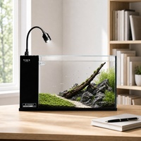 Ensemble d'aquarium 50 cm en verre à faible teneur en fer 91 % clarté, aquarium de bureau personnalisé en gros avec filtre silencieux intégré et couvercle en PC