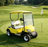 Voiturette de golf électrique 2 places au lithium pour hôtels et zones touristiques, véhicule de navettage, fabrication OEM/ODM, approvisionnement en gros, exportation