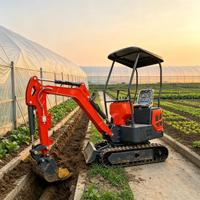 Mini-excavatrice sur chenilles de 2 tonnes, 10 kW (13,4 CV), compacte et flexible, avec système hydraulique, pour vergers, terres agricoles, serres et travaux d'irrigation