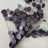 Geconserveerde Gedroogde Appel Eucalyptus Bladeren Takken Yunnan Gedroogde Eucalyptus Bladeren Gedroogde Natuurlijke Gedroogde Eucalyptus Bladeren