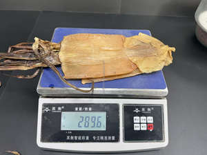 Mariscos Secos al Sol, Naturales, Bajos en Sal, Sin Arena, de Alta Calidad, Calamar Seco Entero, 10 kg, Paquete al por Mayor OEM - Product Image 5