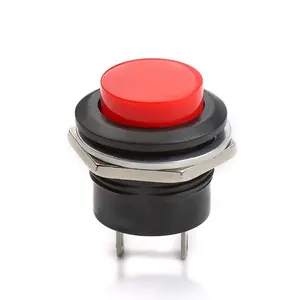 Interruptor momentáneo R13-507 de 16mm, botón de presión Sanp en plástico