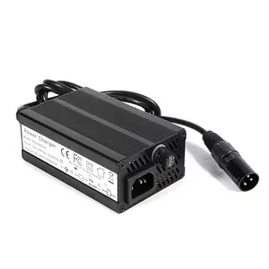 29,4 V 6A 7A 8A 9A 10A cargador de batería de litio 6S batería scooter bicicleta eléctrica equilibrio bicicleta 24V Carga inteligente