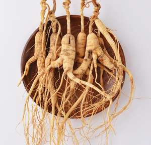 Ginseng Panax kering 20 tahun tumbuh di hutan semi liar ginseng dari pegunungan yang direndam dalam anggur - Product Image 5