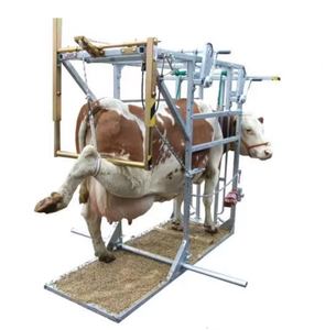 Équipement de bétail de haute qualité/coupe de sabot/équipement d'élevage de chute unité de coupe de sabot de bétail en acier vertical - Product Image 1