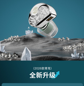 Zhulinniao Qingluan Z4 for Music & <b>Gaming</b> TWS Wireless In-Ear HiFi IEM Earphones Earphone - Product Image 3